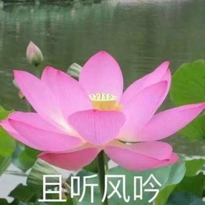 人民网三评“社会性死亡”之三：我们的担当！