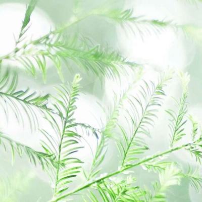 工业和信息化部公布《电动自行车安全技术规范（征求意见稿）》让电动自行车骑行更安全、发展更规范